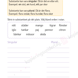 Substantiv - Grundläggande språkövningar för årskurs 1-3