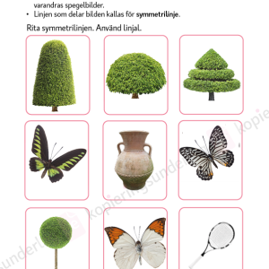 Symmetri åk 1–3 - Image 3