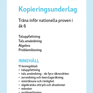 Träna inför de nationella proven åk 6 – tals användning, algebra, problemlösning - Image 2
