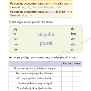 Pronomen åk 3-6 - Image 4