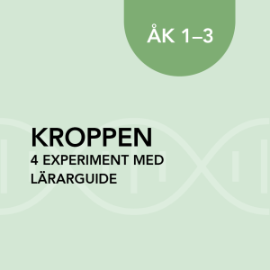 Kroppen