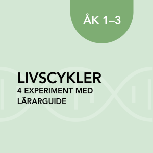Livscykler