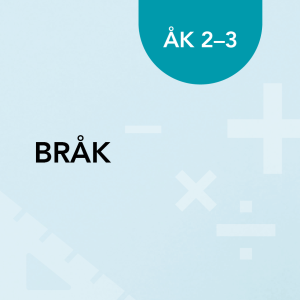 Bråk åk 2-3